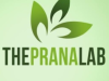 Prana Lab Yoga & Wellness