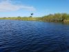 Everglades VIP Tour