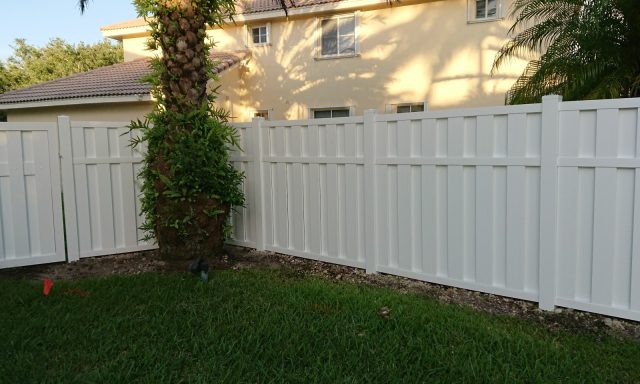 Internet Business Consulting