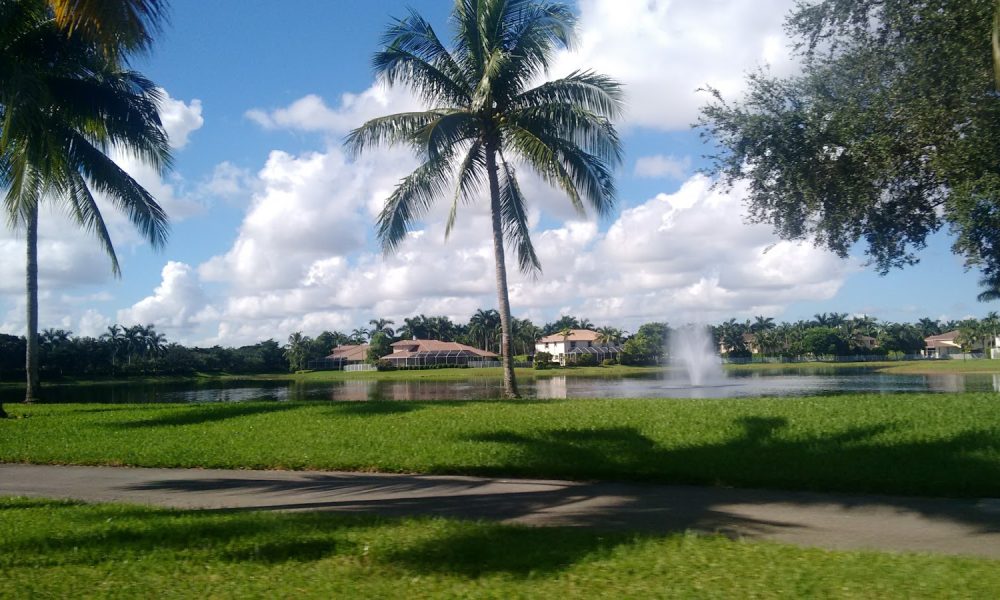 Savanna Maintenance Association