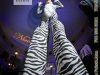 HORA LOCA / BLACK AND WINE EVENTS