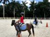 Capriola Equestrian