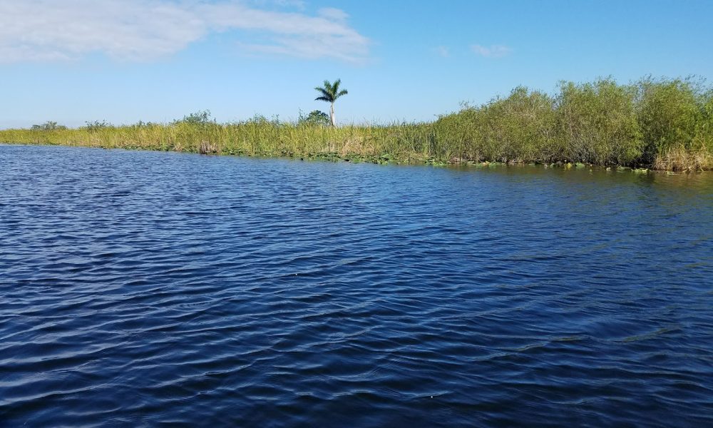 Everglades VIP Tour