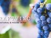 Craft Vino