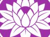 Qi Therapy MASSAGE