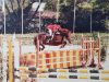 Cecilia Armas Equestrian