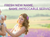 Lavanda Weston Cleaners
