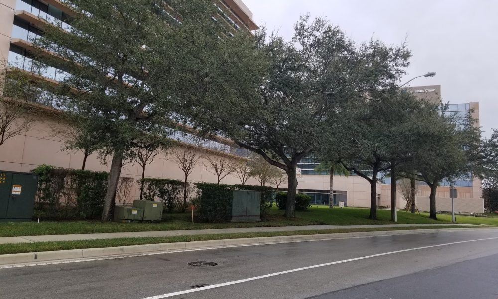 Cleveland Clinic Weston